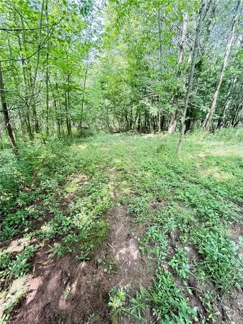 Other - 513 Halbert Hill Rd, Butternuts, NY 13776 photo 11 of 18