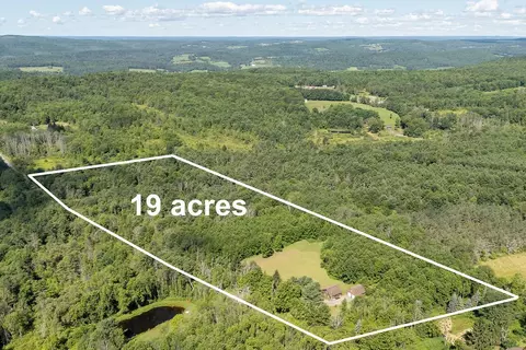 View/Area - 513 Halbert Hill Rd, Butternuts, NY 13776 photo 5 of 6