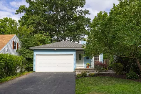 61 David Ave, Brighton, NY 14620