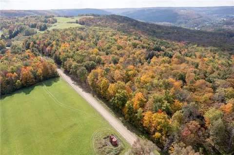 Clark Road, Hartsville, NY 14803