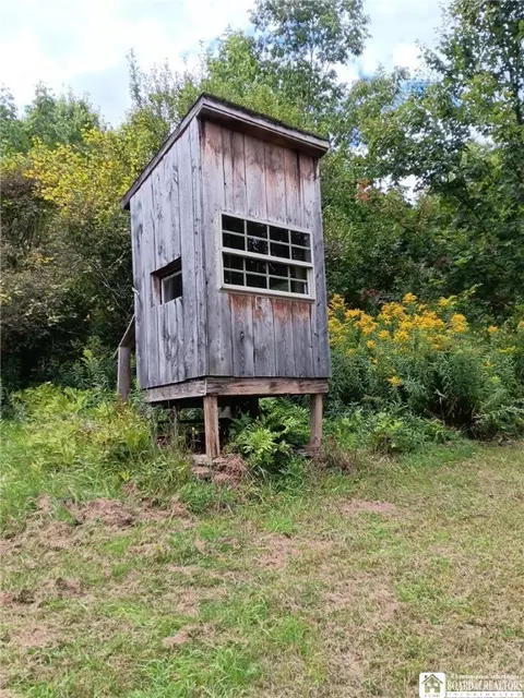 4101 Hopkins Rd, Ellington, NY 14747