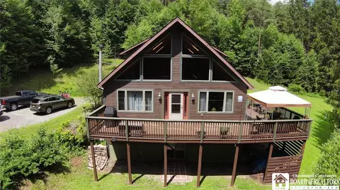 3220 Mcclure Hollow Rd, Allegany, NY 14706