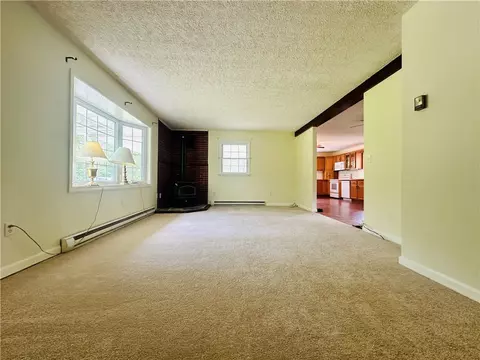Living - 17 Seneca Trce, Erwin, NY 14870 photo 7 of 7