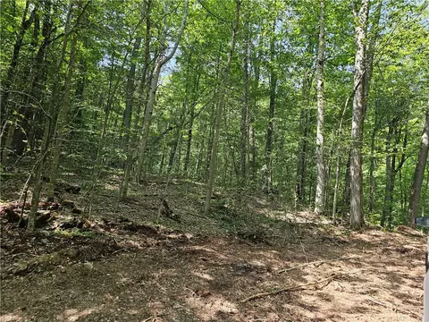 Cayward Road, Prattsburgh, NY 14873 photo 8