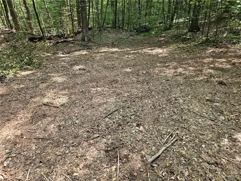 Cayward Road, Prattsburgh, NY 14873 photo 5
