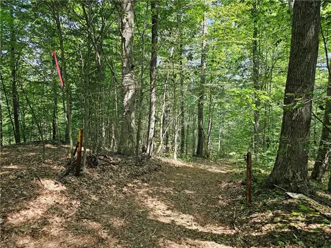 Cayward Road, Prattsburgh, NY 14873 photo 3