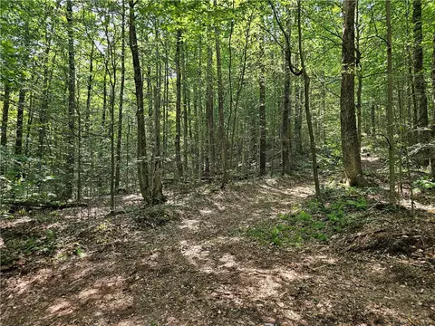 Cayward Road, Prattsburgh, NY 14873 photo 6