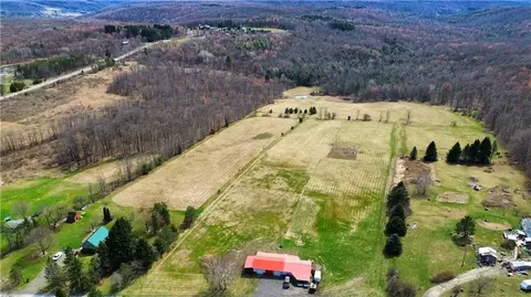 45 Kronus Rd, Erin, NY 14838
