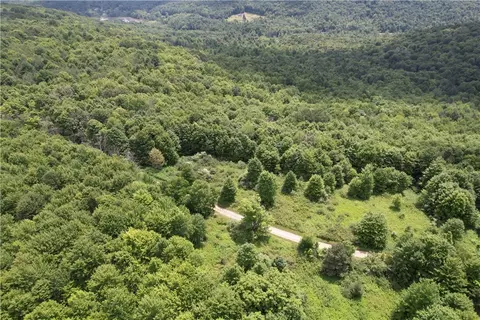 0 Held Apt 13 Greenbush Rd, Erin, NY 14838