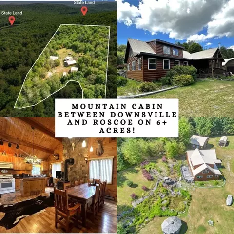588 Buck Mountain Rd, Colchester, NY 13755