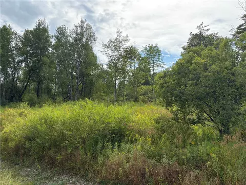 Sheff Road, New Berlin, NY 13843