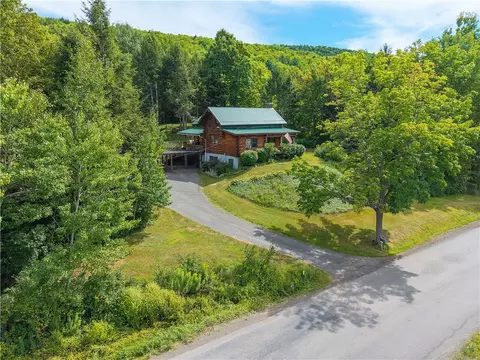 104 Gersoni Rd, Oneonta, NY 13820