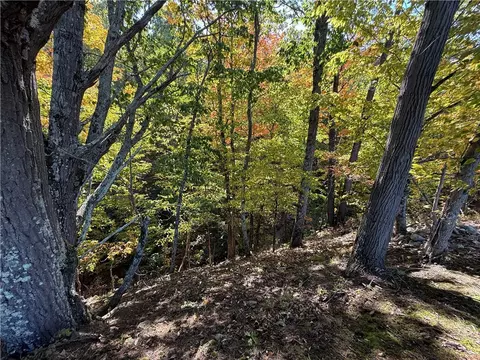 0 Sisson Rd, Milo, NY 14527 photo 13