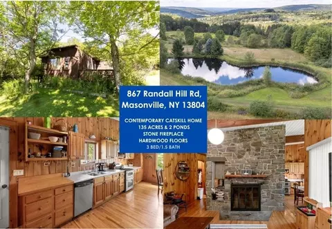 867 Randall Hill Rd, Masonville, NY 13804