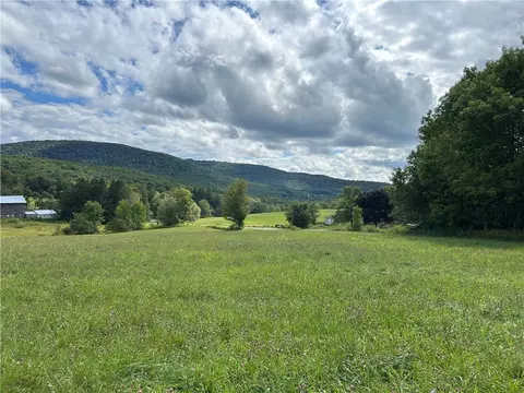 Gladstone Hollow, Andes, NY 13731