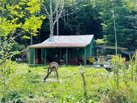 164 Joe Chamberlain Rd, Roseboom, NY 13450