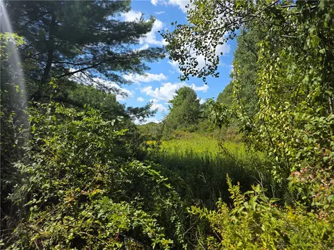 Frog Hollow Road, Campbell, NY 14870