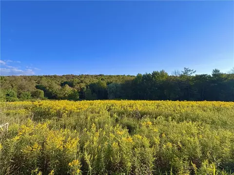 0 Campbell Rd, Franklin, NY 13775