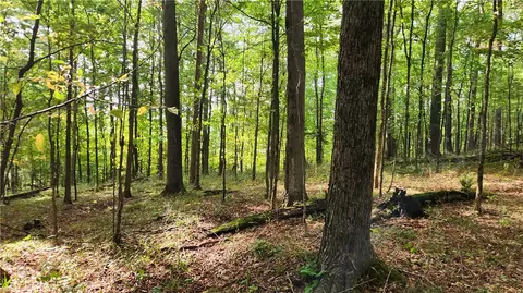 Humphrey Road, Humphrey, NY 14741