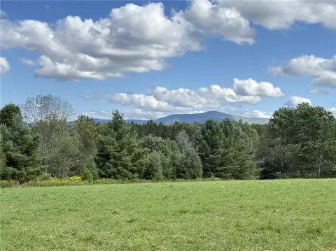 L11 Mountain Pond View Road, Conesville, NY 12076