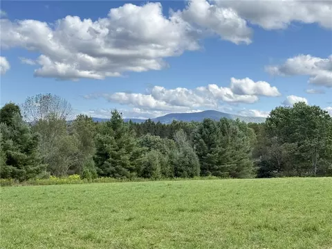 L11 Mountain Pond View Road, Conesville, NY 12076