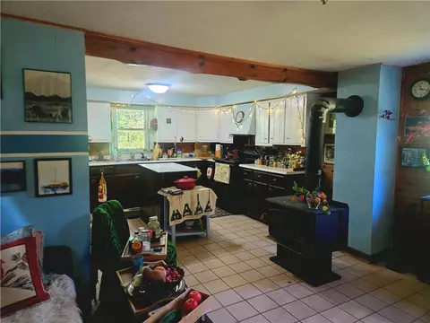 323 Gohan Rd, Schenevus, NY 12155 photo 18