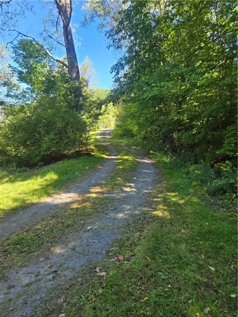 323 Gohan Rd, Schenevus, NY 12155 photo 13