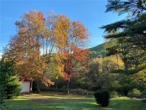 323 Gohan Rd, Schenevus, NY 12155 photo 34