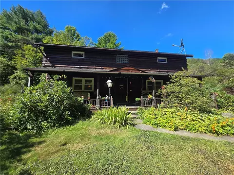 323 Gohan Rd, Schenevus, NY 12155 photo 2