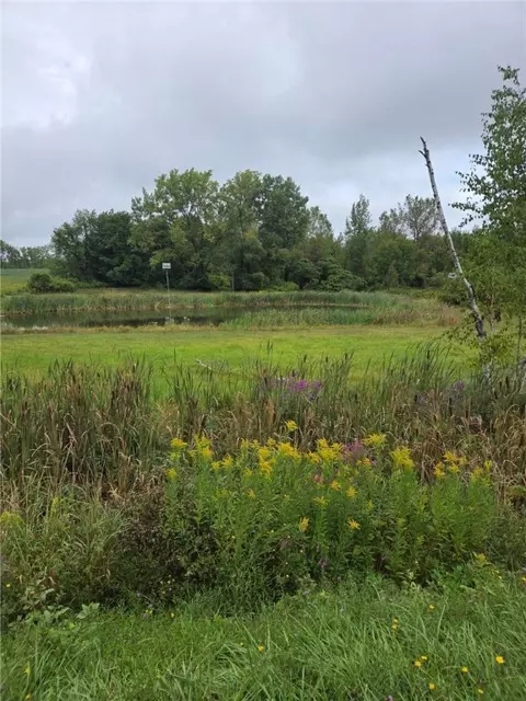 0 Richley Rd, Darien, NY 14036