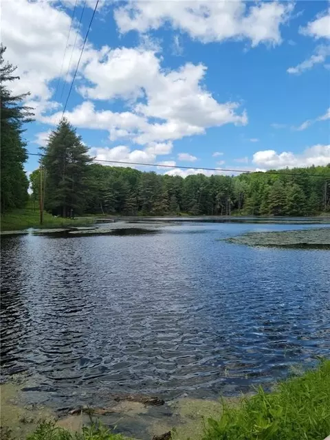275 Holl Rd, Pittsfield, NY 13411