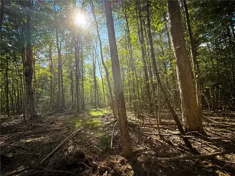 Hollister Road, Dryden, NY 13068