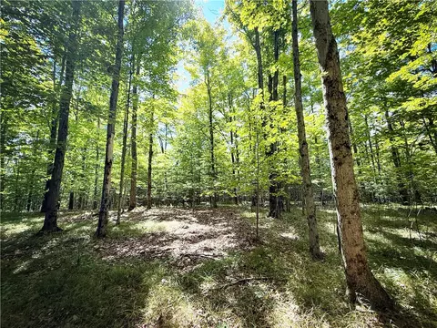 0 Cornell Hollow Rd, Owego, NY 13732