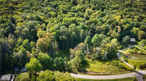 0 Worden Rd, Barton, NY 14892