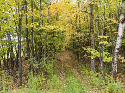 Clark Road, Hornellsville, NY 14843