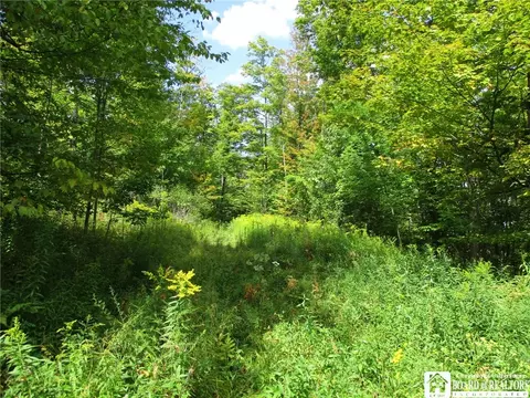 8250 Dobson Rd, Birdsall, NY 14804