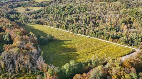 Melnyk Road, Candor, NY 13743
