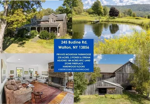 245 Budine Rd, Walton, NY 13856