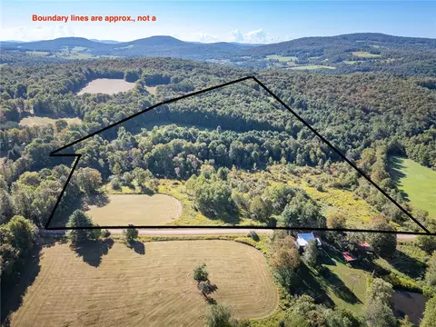 lot10 3 Frisbee Rd, Kortright, NY 13757