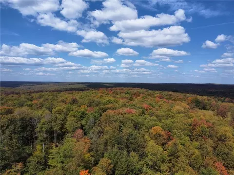 0 Route 6, Hamlin, PA 16735