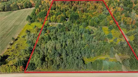 6301 Butts Rd, Prattsburgh, NY 14873