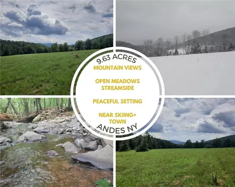 tbd Lower Dingle Hill Rd, Andes, NY 13731