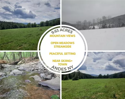 tbd Lower Dingle Hill Rd, Andes, NY 13731