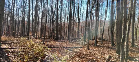 Hagerman Road, Chemung, NY 14892