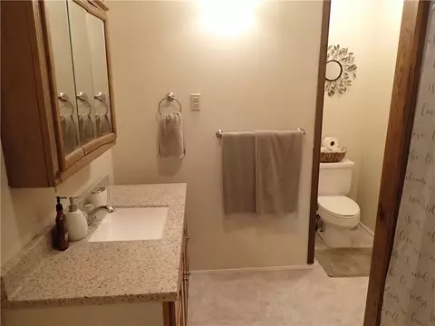 Bath - 55 Eagle St, Mt Morris, NY 14512 photo 1 of 4