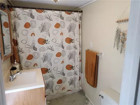 Bath - 55 Eagle St, Mt Morris, NY 14512 photo 4 of 4