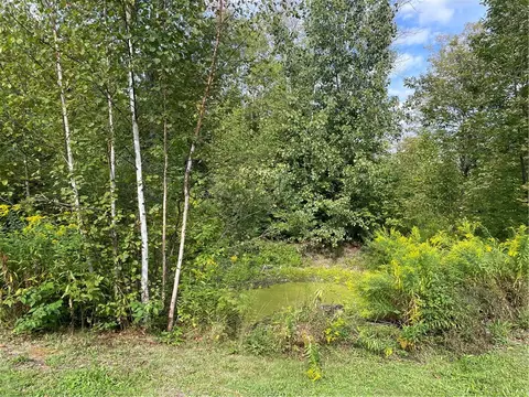 421 Welch Rd, Blenheim, NY 12167