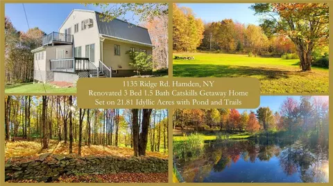 1135 Ridge Rd, Hamden, NY 13782