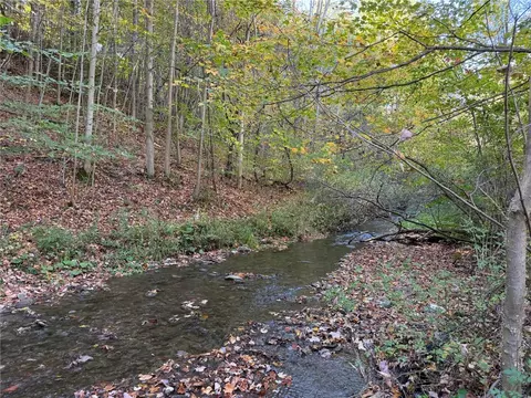 0 Eelpot Rd, Naples, NY 14512