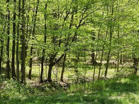 2564 Moore Hill Rd, Shippen Twp, PA 15834 photo 14